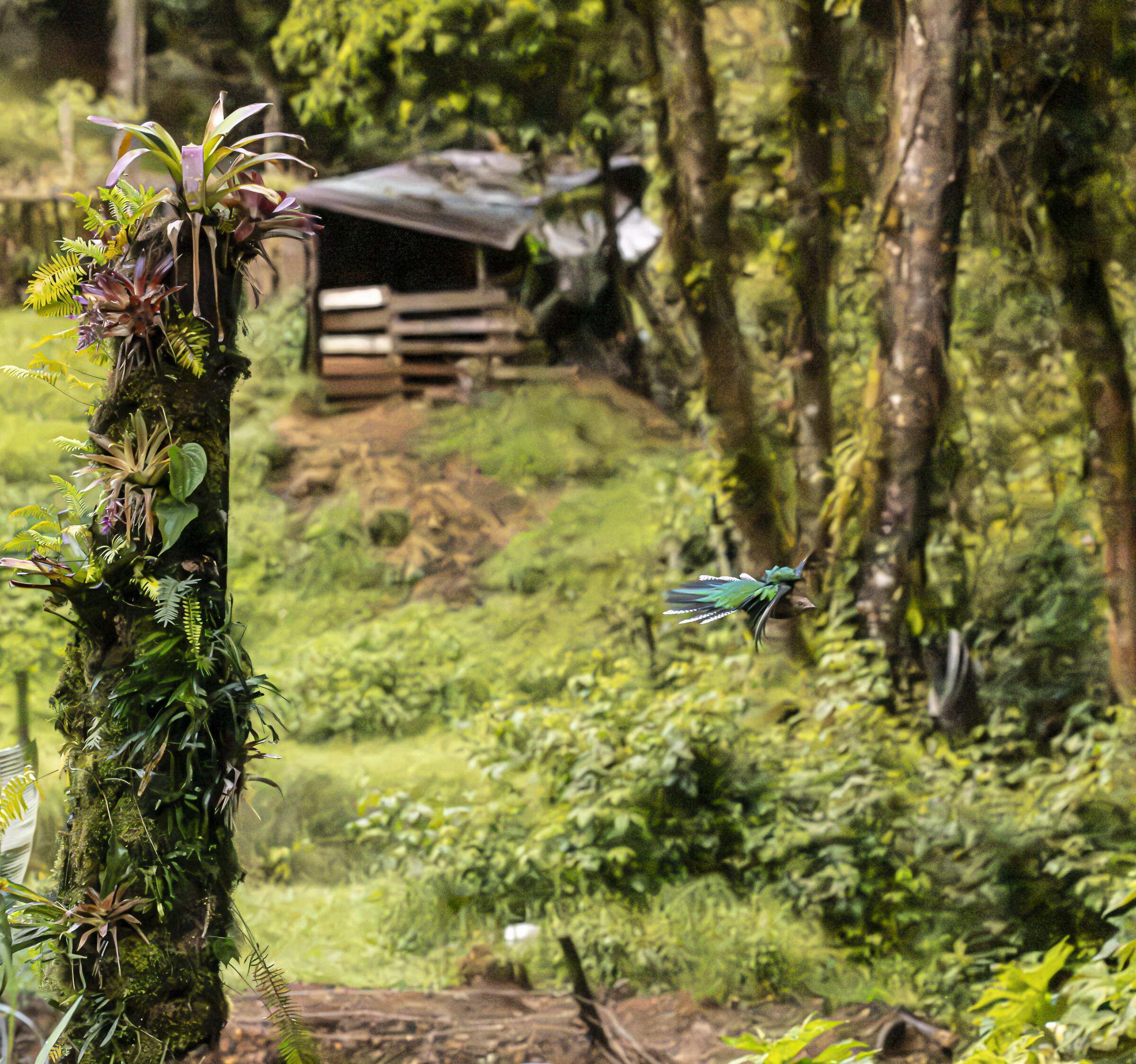 Jardín tropical con libélula