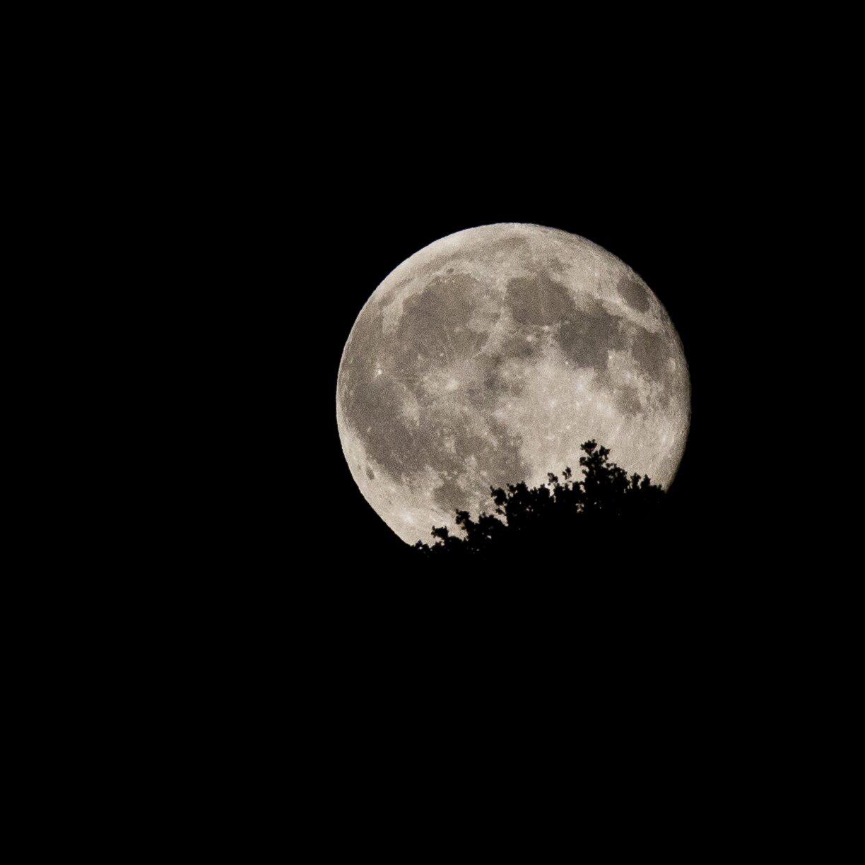 Luna llena sobre el horizonte