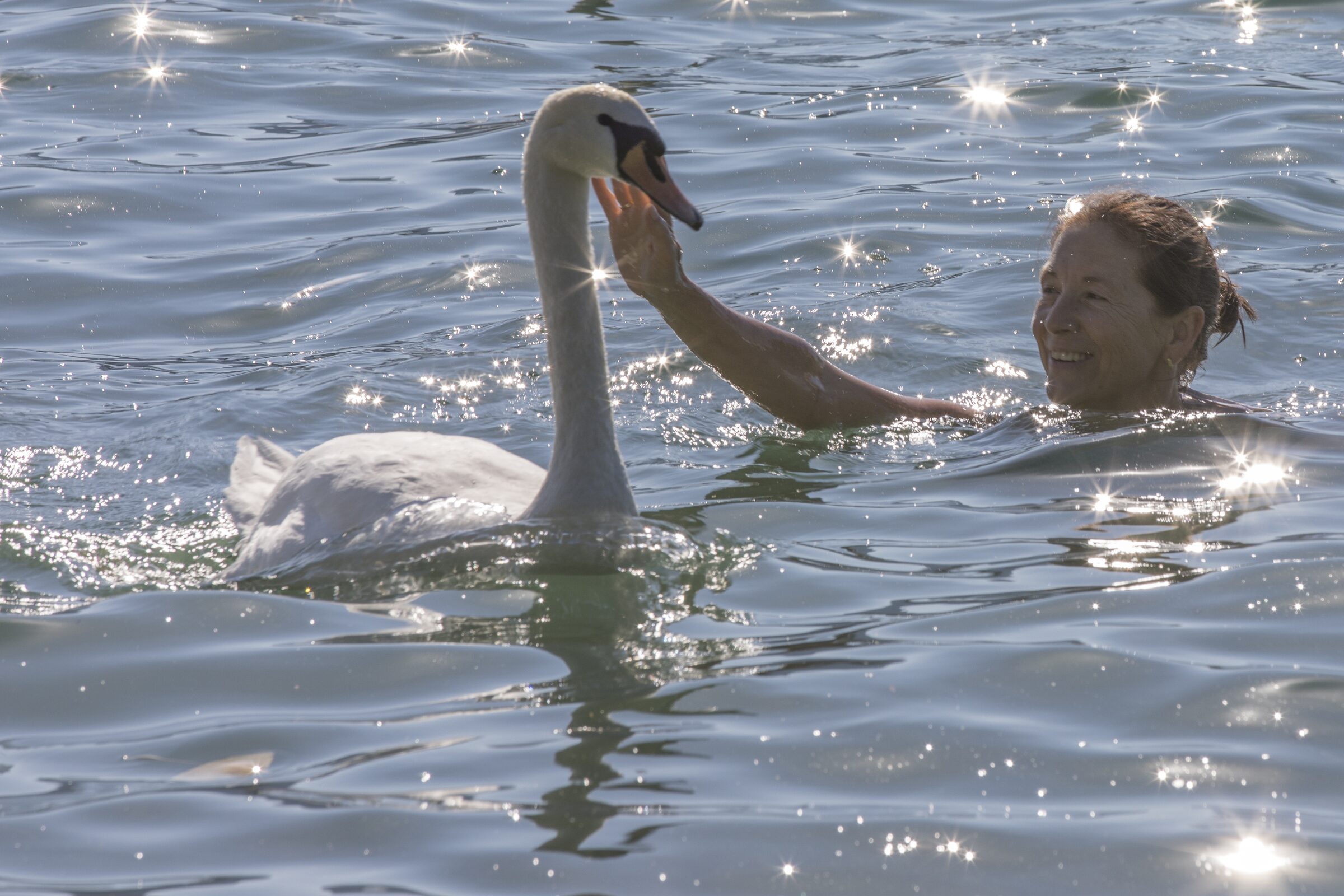 Encuentro en el agua
